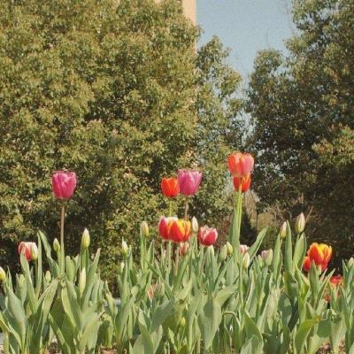 半岛·手机网页版